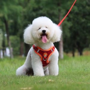Pet Dog Harness With Leash Pet Adjustable Reflective Harness Vest Kitten Puppy Harness Vest for Pet