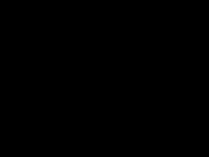 eyelash glue shaker / brush cleaner pembersih brush elektrik