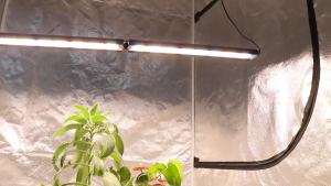LM281B Growth Lamp 60W 120W Suitable for Indoor Plant Growth in Hydroponic Horticulture