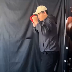 Boxing Dumbbells Professional Boxing Boxing Strength Training