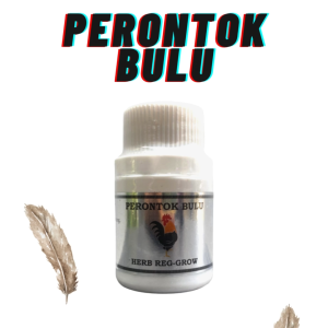 Perontok Bulu Ayam Burung Saat Mabung Ngurak