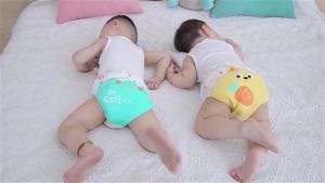 Manufacturers Wholesale 6M-4T Children's Training Pants: Cotton Antibacterial Breathable Washable Baby Learning Pants