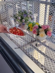 ตาข่าย PVC สำหรับสัตว์เลี้ยง 5M และเครื่องมือติดตั้ง กว้าง 50 80 ซม หนา 60 กันสนิม ตัดได้ ตาข่ายกันแมว ตาข่ายกรงไก่ COD จัดส่งฟรี