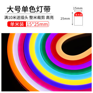 Flexible LED Light Strip Neon Colorful Flashing Color Changing Super Bright Decoration Outdoor Waterproof Light Bar Line Light 220V