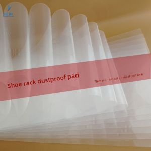 Semi-Transparent Frosted White Plastic Dustproof Pad Stainless Steel Shoe Rack Organizer Modern Minimalist Design Home Furniture