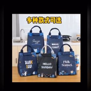 Tas Bekal Lunch Bag Dewasa Anak Sekolah Cooler Bag Insulated