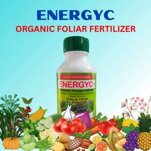 EnergyC Foliar Fertilizer Organic 500ml: A Comprehensive Guide