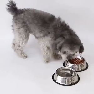 Dog Bowl Stainless Pet Cat Dog Food Bowl Water Bowl Multipurpose Dog Bowl Non-slip Durable Bowl Pet Accessories