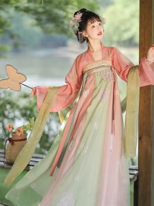 Daily Wear Hanfu Dress: A Guide to Women's Traditional Chinese Clothing