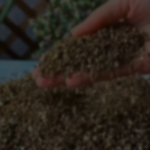 🔥Bonsai168🔥Premium Expanded Vermiculite Various Sizes 4L/10L Rooting Soil Additive保水透气发根蛭石改良土壤多肉扦插育苗