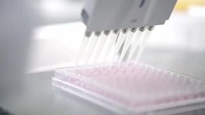 💗🙋‍♀️💗何首乌白转黑精华液白发转黑发生头发营养液护发防脱育发液乌发液