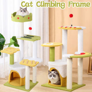Cat Climbing Frame: A Comprehensive Guide to Enhancing Your Cat's Playtime Experience