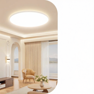 Bull | Ceiling Light Installation and Removal Service Circular Modern Simple