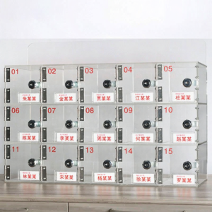Transparent Acrylic Secure Storage Cabinet