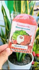 Paket 100 PCS Amplop Lebaran Medium Tema Junk Food Viral 2025