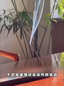 已开光 进化磁场香料 招财 好运 松塔香」天然线香 古法香方净化磁场室内家用松果香薰  Natural Pine Cone Incense Pure Air Purification Attract Wealth Ancient Method Original Pine Wood Aromatherapy Gift Tower Incense Ancient Incense Formulas Purify The Magnetic Field