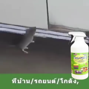 🐭หนูหายไปแล้ว🐭สเปรย์ไล่หนู น้ำยาไล่หนู สเปรย์ไล่หนูรถ 500ml ใช้ที่โกดังห้องเครื่องรถยนต์และที่บ้านได น้ำยาไล่หนูรถ สเปร์ไล่หนู กำจัดหนู สเปรย์กำจัดหนู ยาฆ่าหนู สเปย์ไล่หนู เสปรย์ไล่หนู น้ำยาฉีดไล่หนู ยาไล่หนูในบ้าน ไล่หนูในรถยนต์ ไล่หนูในบ้าน