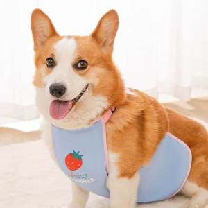 Dog Pet Bellyband Corgi Dog Belly Protection Prevent Catching Cold Clothes Summer Autumn and Winter Warm French Bucket Pet Waterproof Splash