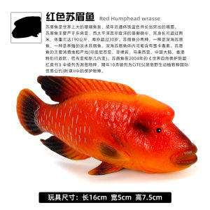 Mô Hình Động Vật Biển Nhựa Tròn Thực Tế Cá Sấu Phụ Kiện Trang Trí Đồ Chơi Giáo Dục Cho Trẻ Em Quà Tặng Nhận Thức