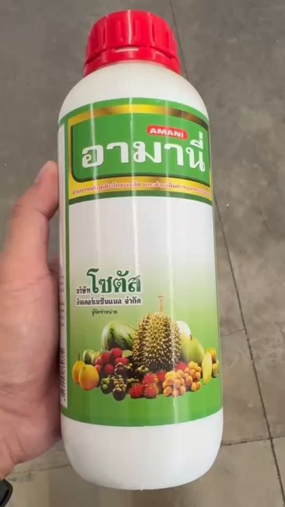 โซตัส อามานี่ กรดอะมิโน เพิ่มดอกผล ทนฝนทนแล้ง