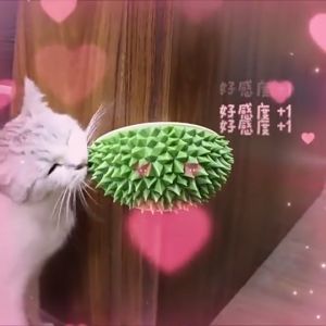 Corner Massage Durian Shaped Self Groomer Catnip Comb Toy / Tickling Comb with Catnip