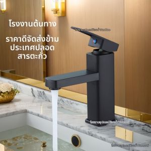 Stainless Steel Cold and Hot Water Faucet