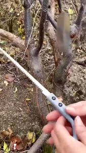 Sharp Mini Hand Saw Mini Woodworking Saw Small Hand Saw Garden Gardening Saw Logging Saw Dovetail