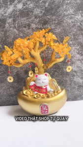 Mèo Thần Tài May Mắn Cầu May Trang Trí Phòng Khách Món Quà Tặng Độc Đáo Tân Gia Khai Trương