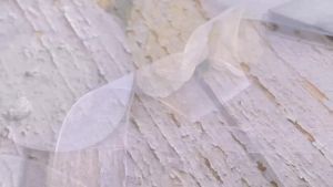 50 Yards White Sheer Chiffon Ribbon Organza Satin Ribbons for Gift Wrapping Wedding Decoration Bouquets Party DIY Fabric Crafts