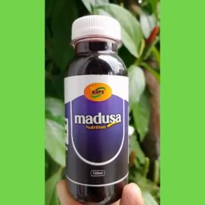 Suplemen Nutrisi Probiotik: Solusi Alami Mengatasi Gangguan Lambung