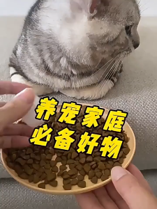 猫草片化毛球片猫咪专用化毛膏猫咪排毛化毛片猫咪吐毛球体内去毛