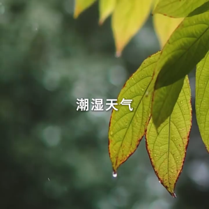 Dryer for home use small mini foldable portable for travel pocket-sized clothes dryer clothes dryer