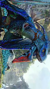 Netflix gói cao cấp premium