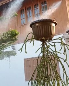 12บาร์ ชู้พ่นละออง พ่นหมอก ปลอดภัย ออกแบบโดยวิศวกร ติดตั้งง่ายๆ 50เมตร 20หัวพ่น กรองและกล่องปั๊มครบชุด