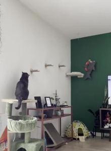 Wall Mounted Cat Rack Wall Steps Cat Furniture Cat Tree Indoor Cat Wall Mounted Cat Climbing Frame Suitable for Cats Sleeping
