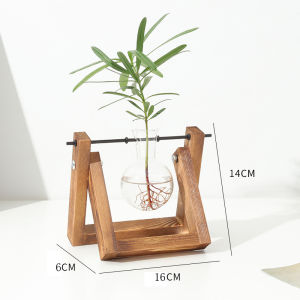 Creative wooden frame hydroponic vase green ivy plant transparent glass flower arrangement container desktop decoration home