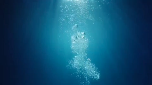 ของแท้ พรีไบโอติก โพรไบโอติก จุลินทรัพย์ดี ช่วยดีท็อกซ์ เพิ่มไฟเบอร์ อาหารของจุลินทร๊ย์ มีอย.