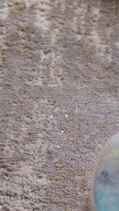 WARDAH Perfect Bright Series: Toner Untuk Kulit & Pelembap Dan Perawatan Kulit