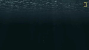 Đồ Chơi Mô Hình Khủng Long Mosasaurus