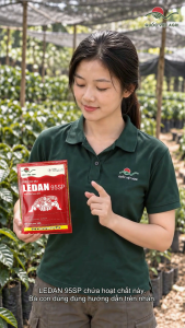 Thuốc trừ sâu LEDAN 95SP (gói 100g) - Cartap Hydrochloride 95% w/w Trừ sâu đục thân hại lúa