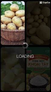 Tinh bột khoai tây 150g Mikko Hương Xưa 1 thùng/3kg