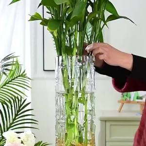 Factory Direct Supply Bamboo Bamboo Cylinder Straight Hydroponic Transparent Glass Vase - Bamboo Dragon Bamboo Bamboo Flower Arrangement Bamboo Joint