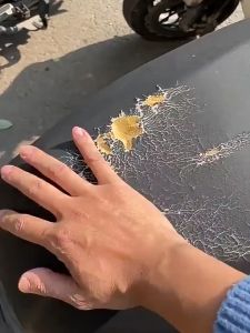 How to Repair Your Leather Furniture: A Guide to DIY Car Seat & Sofa Repairs