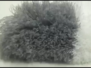 4Pcs/set Microfiber Duster Brush House Cleaning Dusting Set Adjustable Telescopic Bending Duster