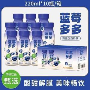 Blueberry Flavored Breakfast Nutritional Milkshake 220ml
