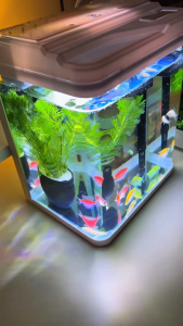 Bể Cá decor Mini CITYMARTVN - Bể Cá Thuỷ Sinh Có Máy Bơm Đồ Trang Trí Có Đèn LED Bể Cá Văn Phòng