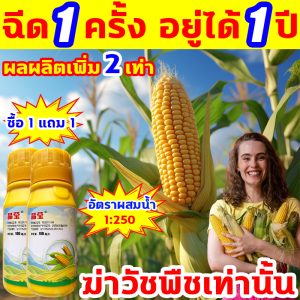 ฆ่าวัชพืชเท่านั้น ไม่เป็นอันตรายต่อข้าวโพด ยาฆ่าหญ้าในข้าวโพด 100ML ซื้อ1แถม1 เข้มข้นสุด นิโคซัลฟูรอน4%+อาทราซีน20% ยาฆ่าหญ้าข้าวโพด อัตรากำจัดวัชพืช100% 10 ปีไม่มีวัชพืช ยาฉีดหญ้าข้าวโพด 1ขวดผสมน้ำ25ลิตร ยาฆ่าหญ้าไร่ข้าวโพด ฆ่าหญ้าข้าวโพด