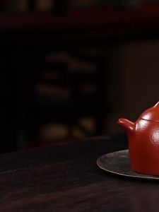 CANGHUTIANXIA | Handmade Purple Clay Teapot for Home Tea Brewing