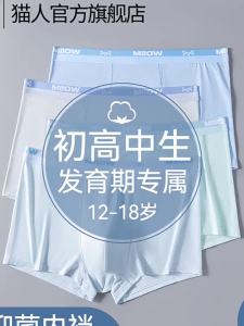 MiiOW | Ice Silk Summer Underwear for Teenage Boys