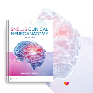 Snells Clinical Neuroanatomy - 9781975195946 - C&E Bookshop